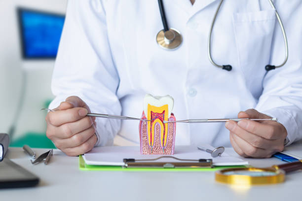 Best Emergency Gum Treatment in Otterbe, IN